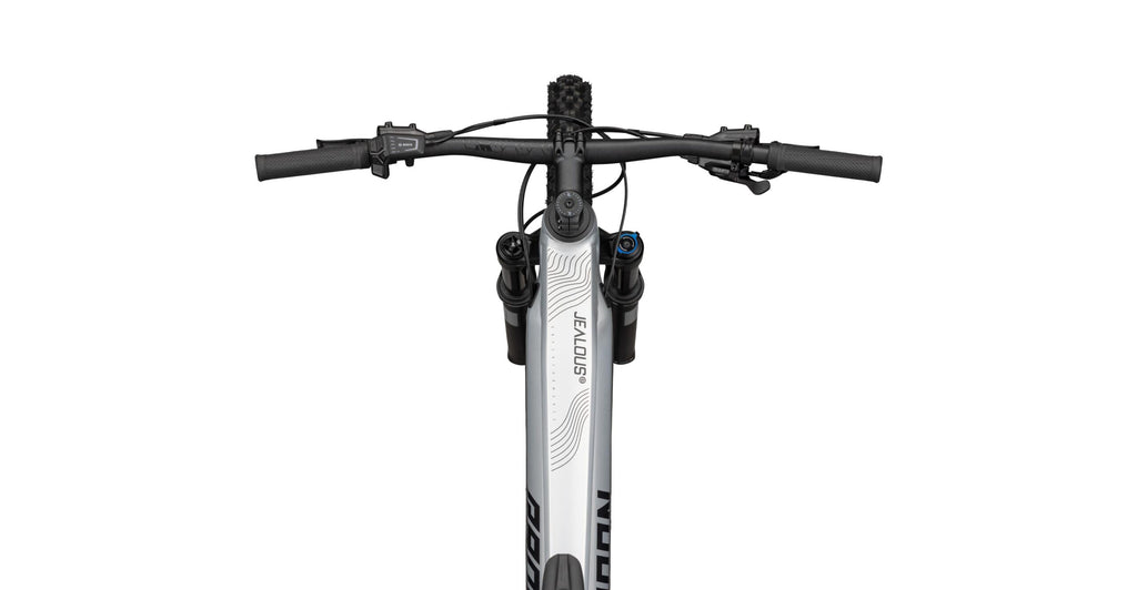Radon JEALOUS HYBRID 8.0 750