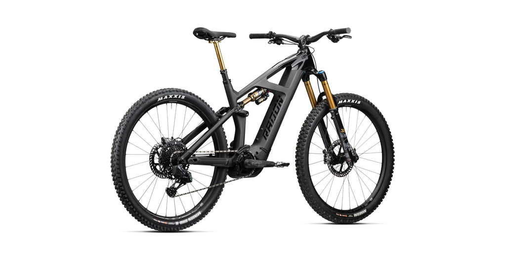 Radon RENDER 10.0 HD 750