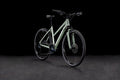 Cube Nature SLX Lady pistachio´n´palemint