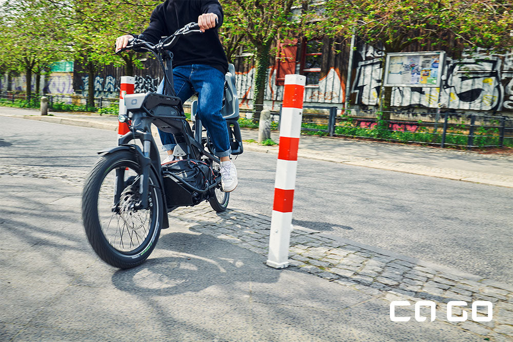 Ca Go Bike CS 100