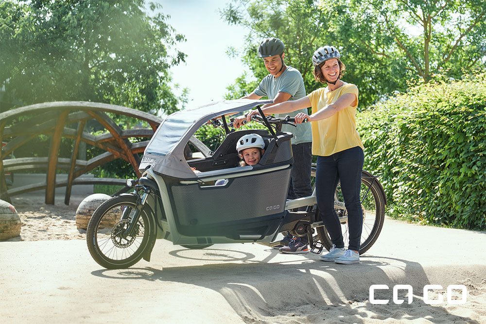 Ca Go Bike FS 200 Life Family Plus Lastenrad mit Bosch Performance CX Motor 625Wh Akku Silk Grey