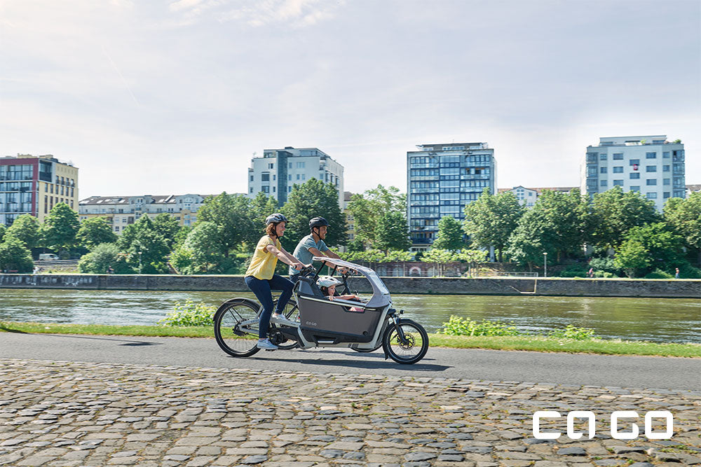 Ca Go Bike FS 200 Life Family Plus Lastenrad mit Bosch Performance CX Motor 625Wh Akku Silk Grey