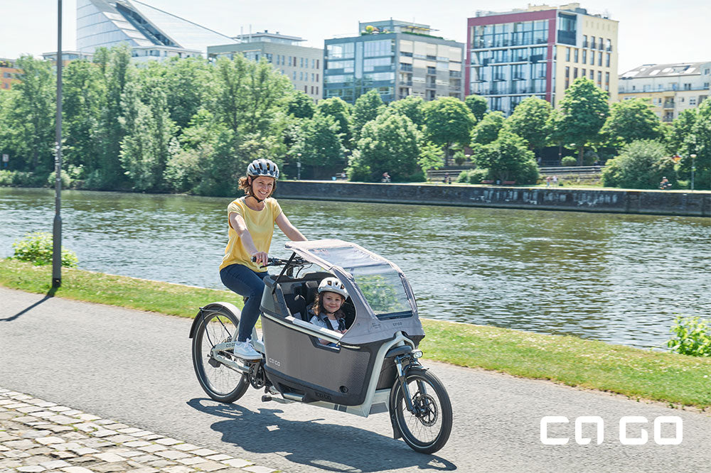 Ca Go Bike FS 200 Life Family Plus Lastenrad mit Bosch Performance CX Motor 625Wh Akku Silk Grey