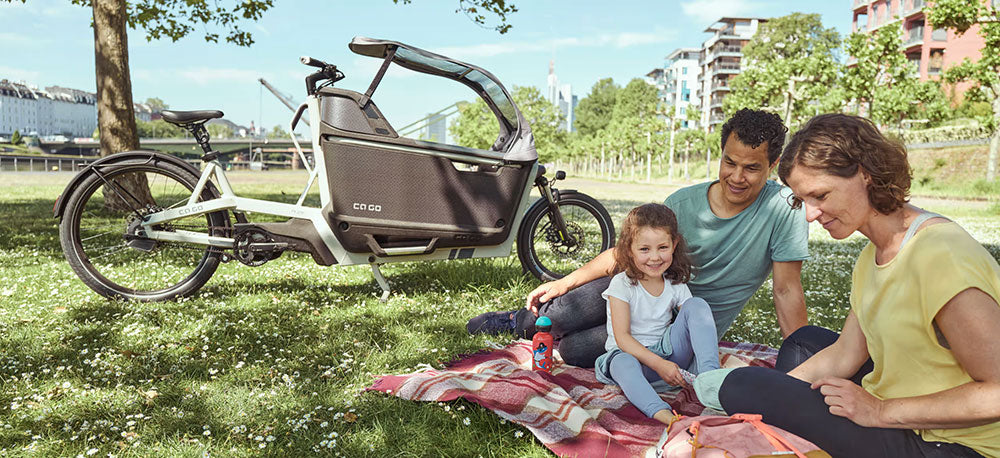 Ca Go Bike FS 200 Life Family Plus Lastenrad mit Bosch Performance CX Motor 625Wh Akku Silk Grey
