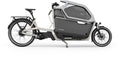 Ca Go Bike FS 200 Life Family Plus Lastenrad mit Bosch Performance CX Motor 625Wh Akku Silk Grey
